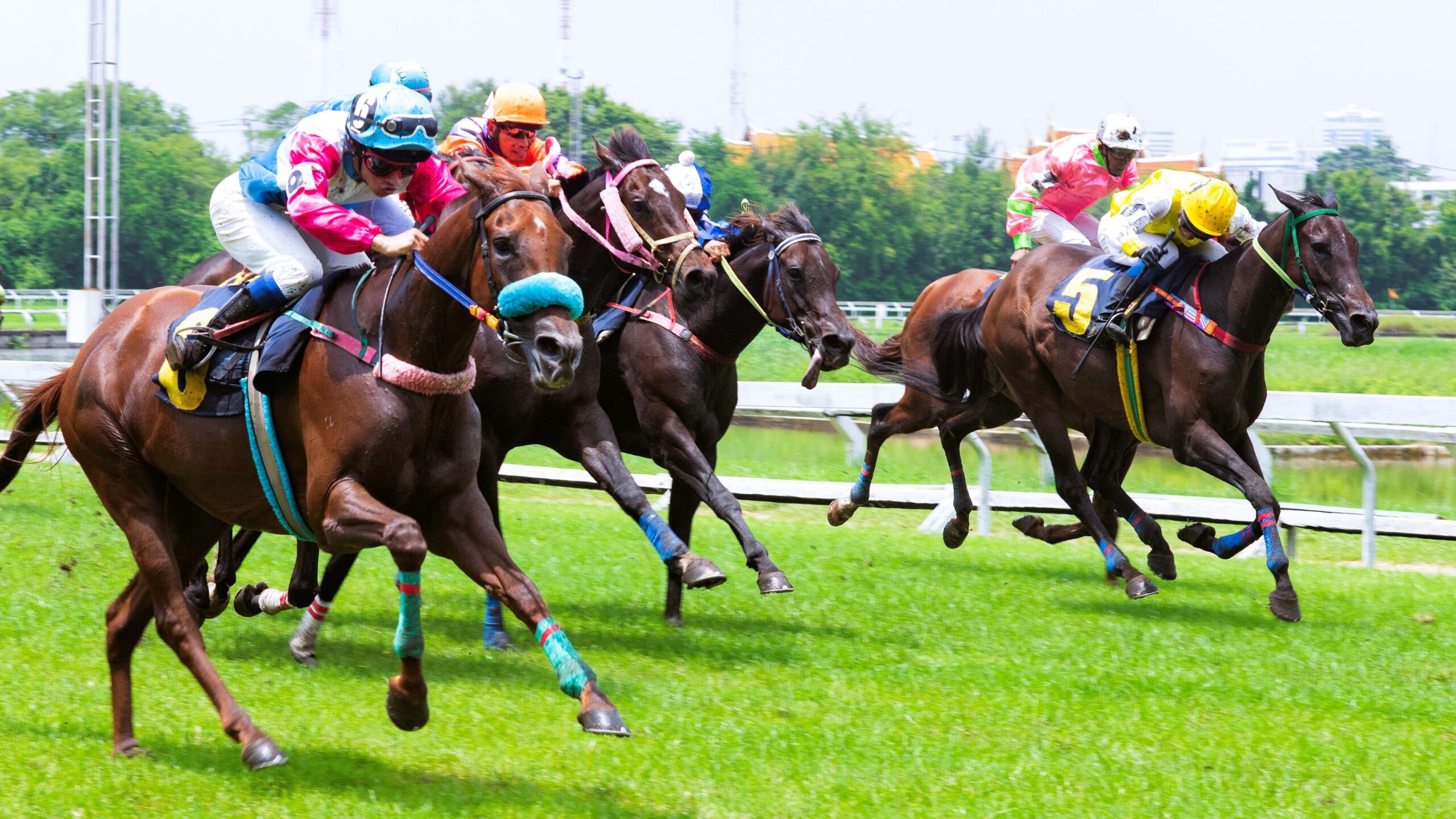 horse racing south africa